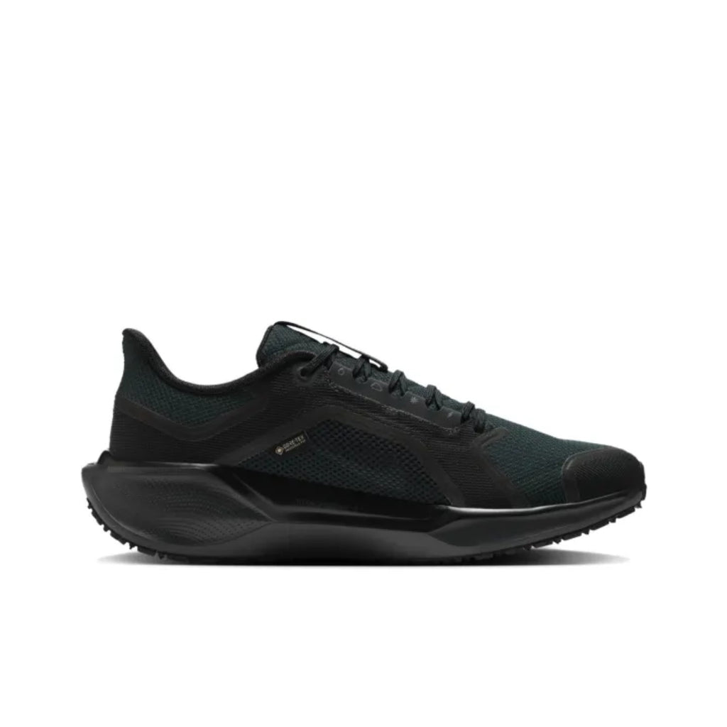 Nike Air Zoom Pegasus 41 EasyOn noir deuxième vue
