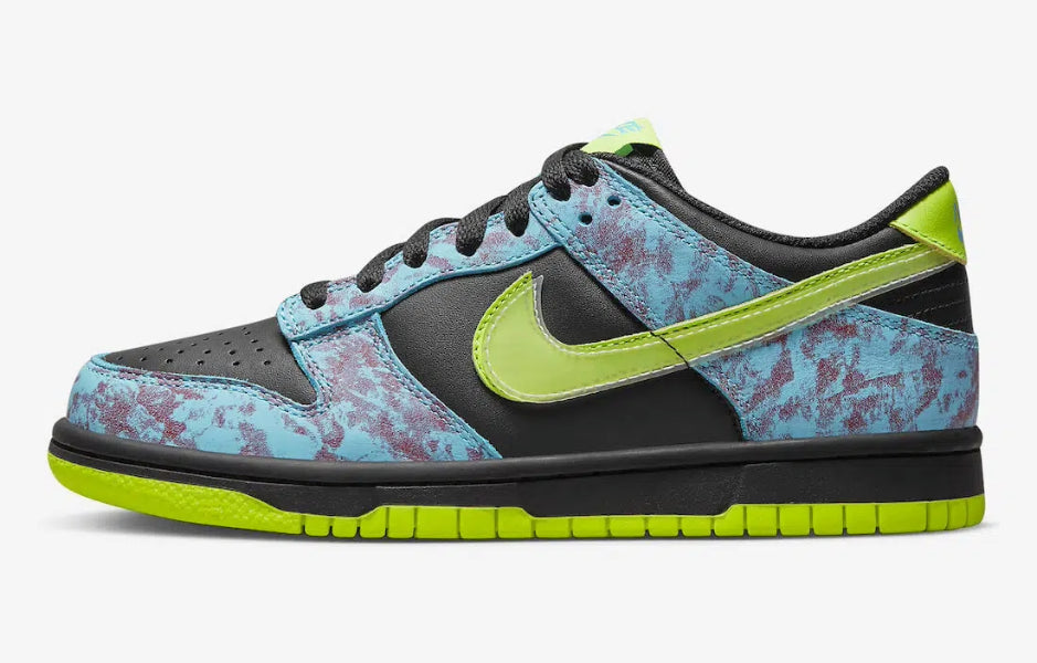 Dunk Low GS Acid Wash - ClaoukyShoes