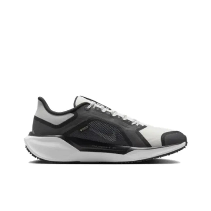 Nike Pegasus 41 GORE-TEX "Black White"